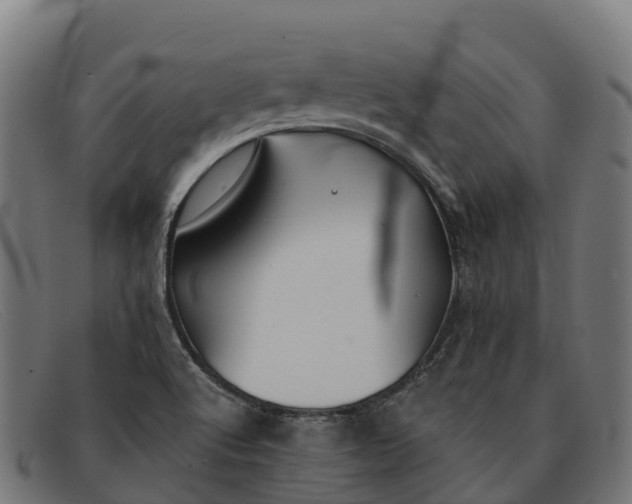 X0000091671512200709131519