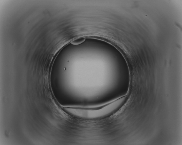 X0000091671513200709131519