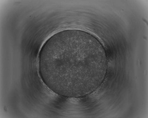 X0000091671514200709131519