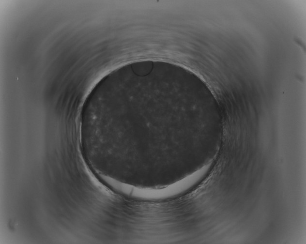 X0000091671515200709131519