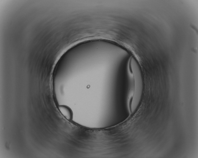 X0000091671516200709131519