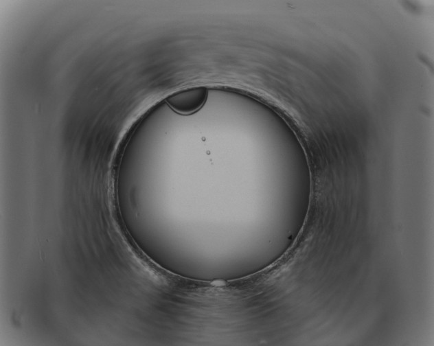 X0000091671517200709131519