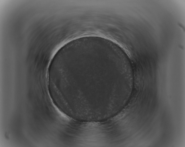 X0000091671519200709131519