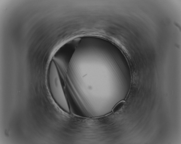 X0000091671520200709131519