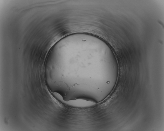 X0000091671521200709131519