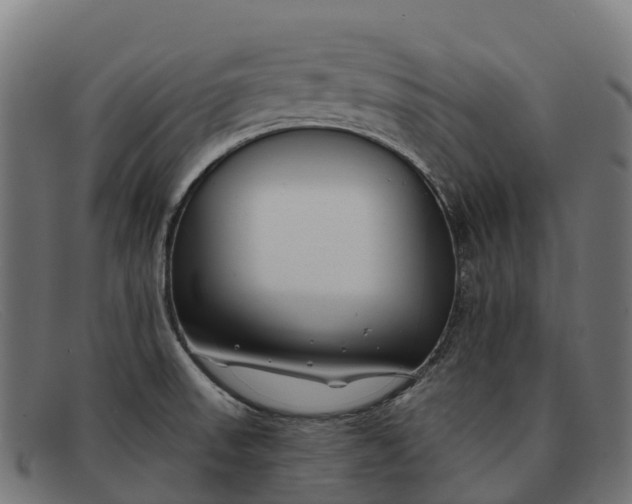 X0000091671523200709131519