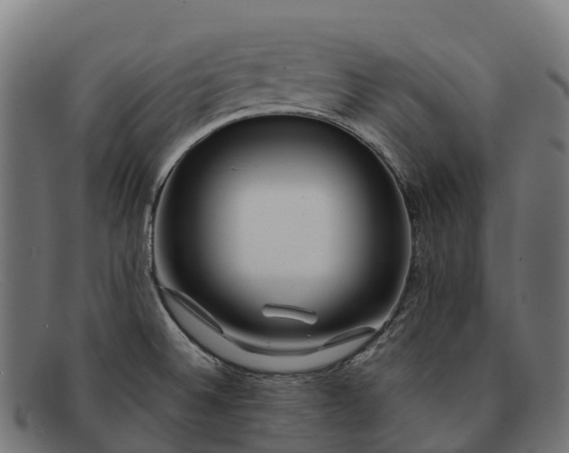 X0000091671524200709131519