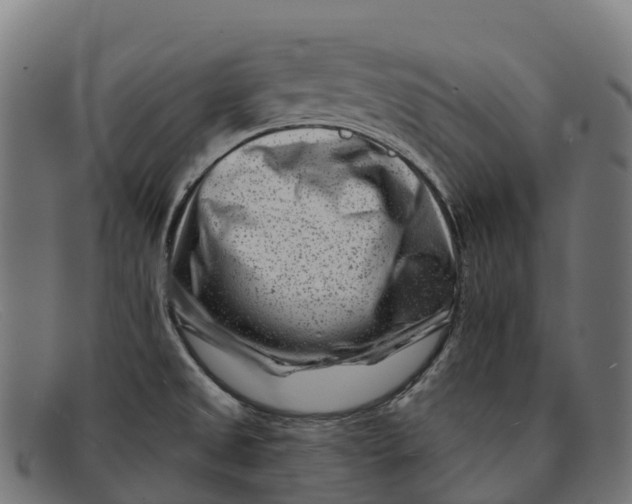 X0000091671525200709131519