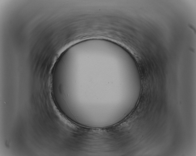 X0000091671526200709131519