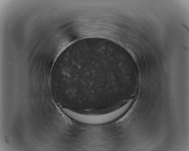 X0000091671529200709131519