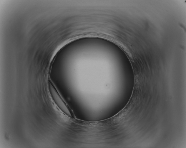 X0000091671530200709131519