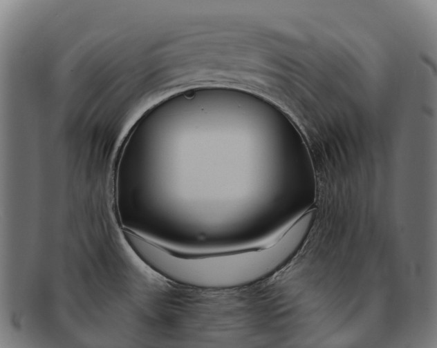 X0000091671531200709131519