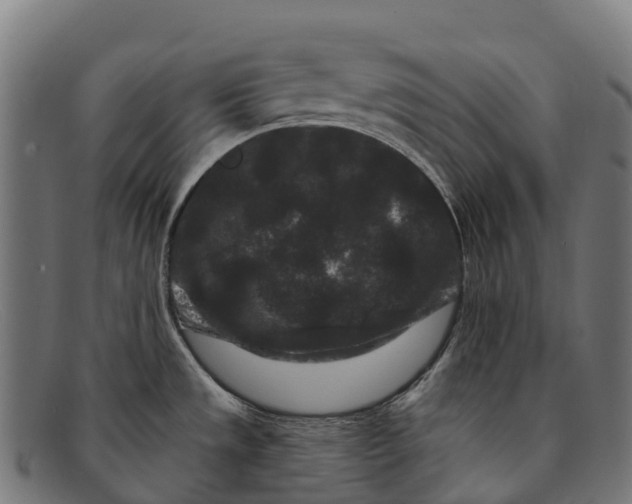 X0000091671533200709131519