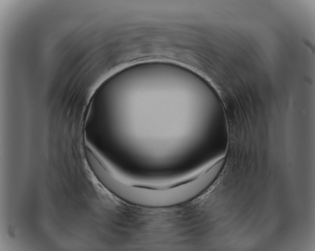 X0000091671534200709131519