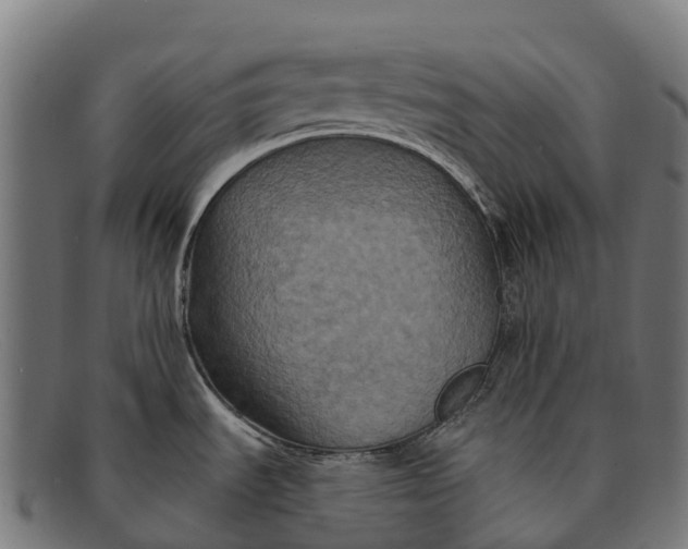 X0000091671535200709131519