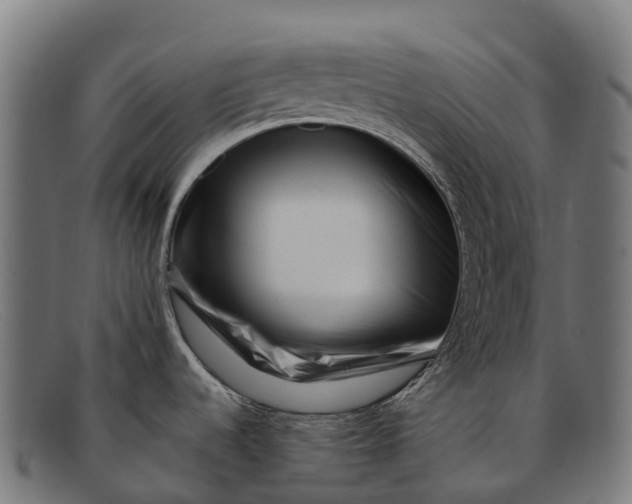 X0000091671536200709131519