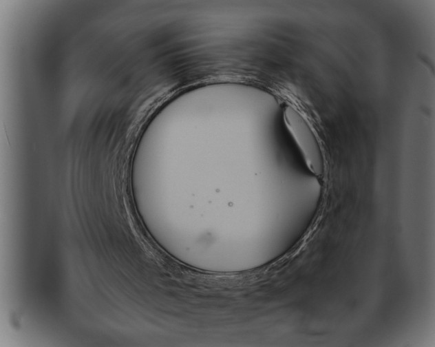 X0000091670001200709201228