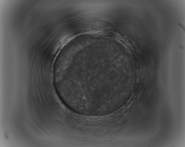 X0000091670002200709201228