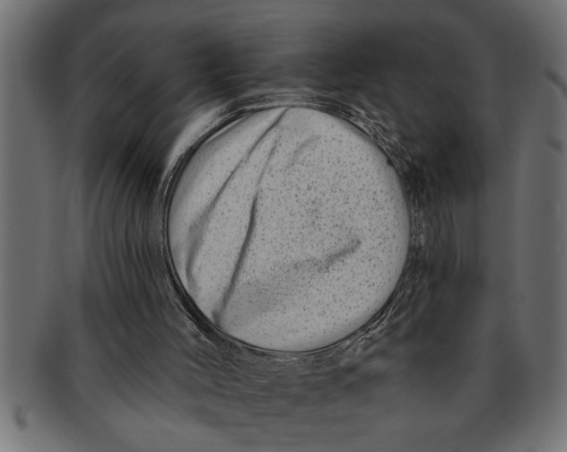 X0000091670004200709201228