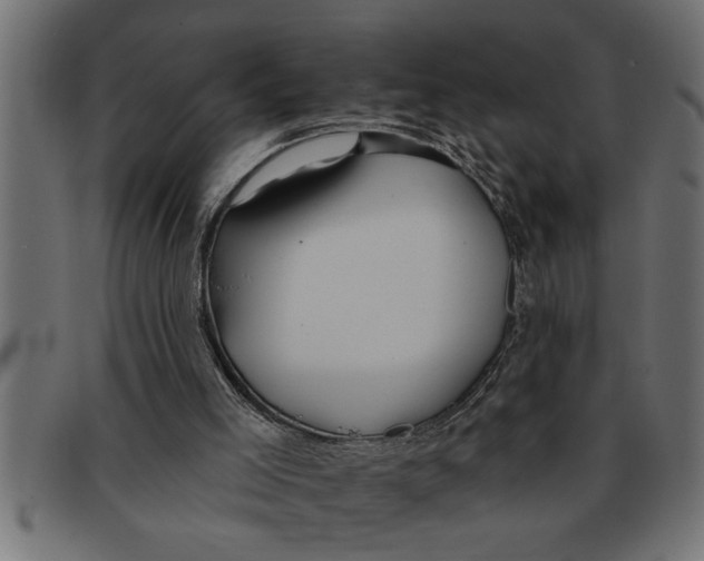 X0000091670005200709201228