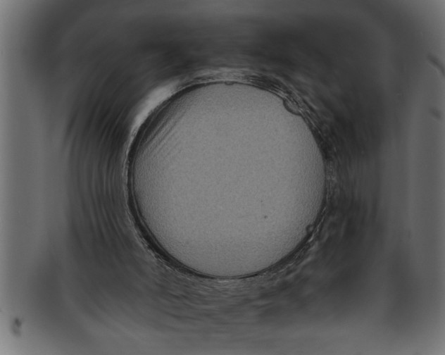 X0000091670006200709201228