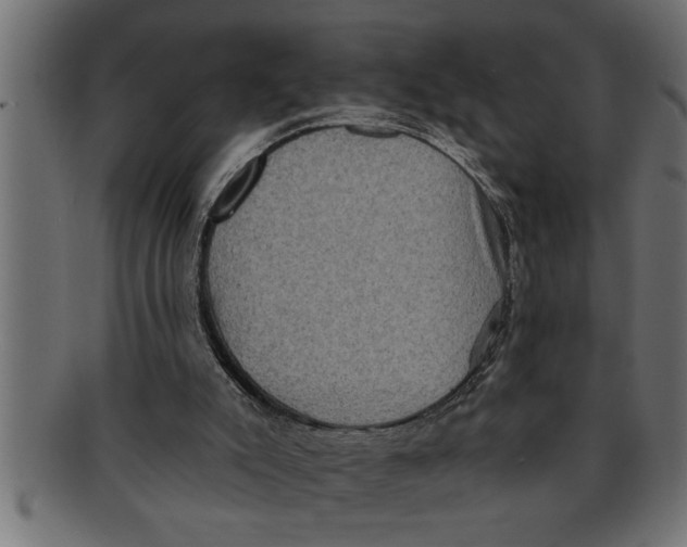 X0000091670007200709201228