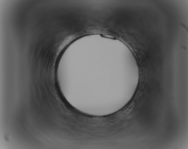 X0000091670008200709201228