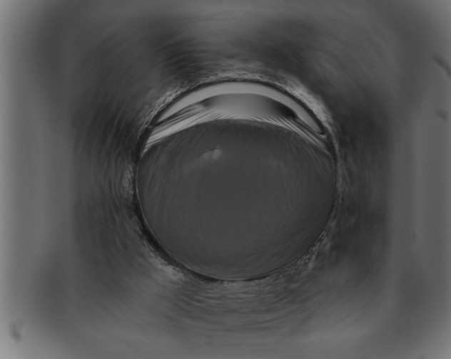 X0000091670009200709201228