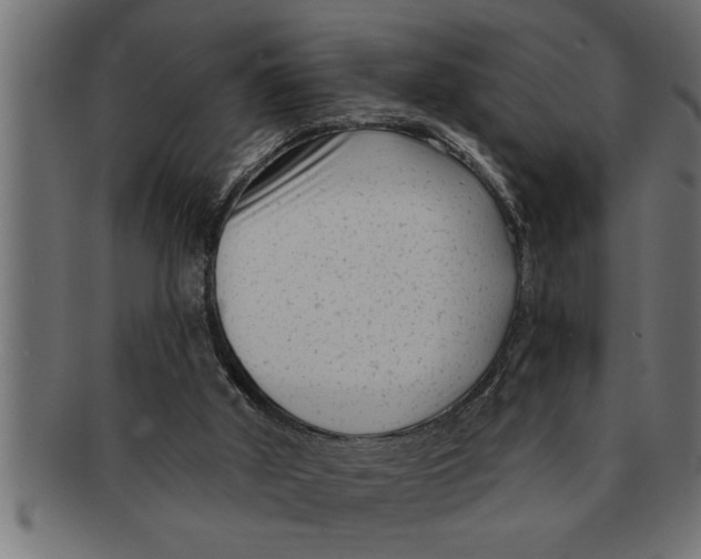 X0000091670010200709201228