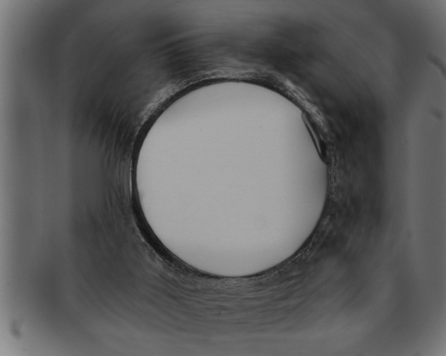 X0000091670011200709201228