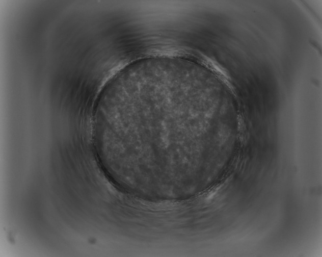 X0000091670012200709201228