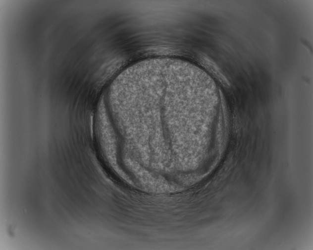 X0000091670014200709201228