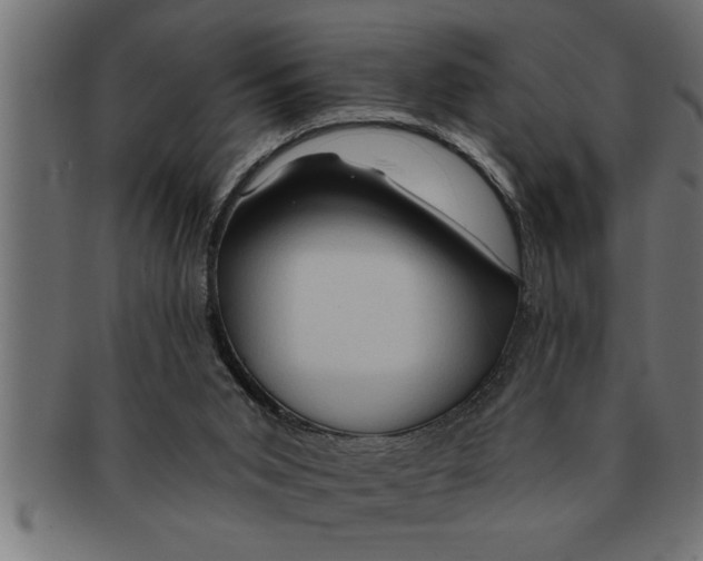 X0000091670015200709201228