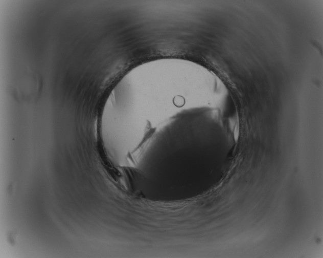 X0000091670019200709201228