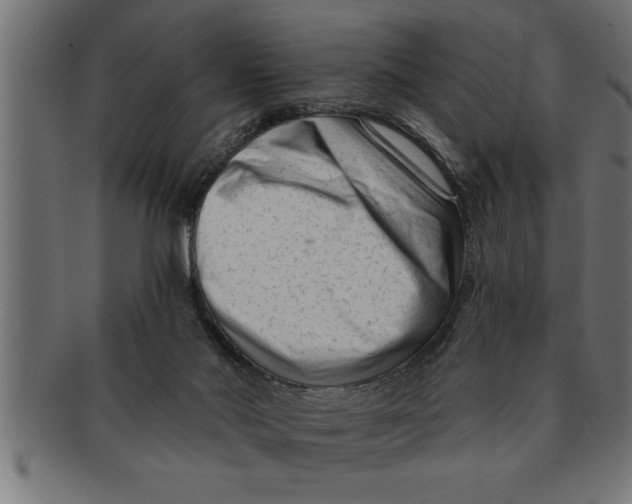 X0000091670022200709201228