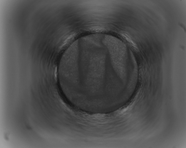 X0000091670024200709201228