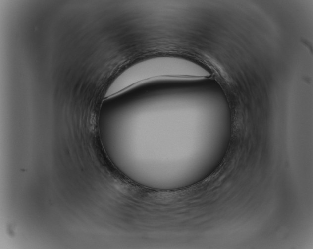 X0000091670025200709201228