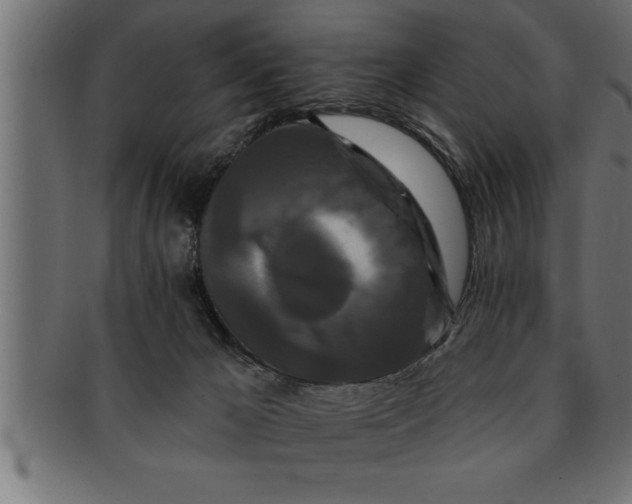 X0000091670029200709201228