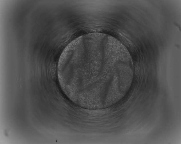 X0000091670030200709201228