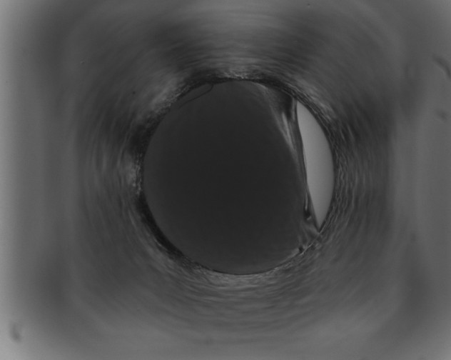 X0000091670031200709201228