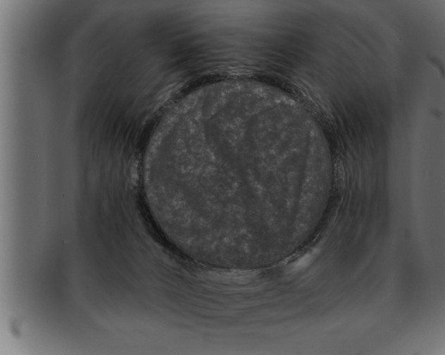 X0000091670032200709201228