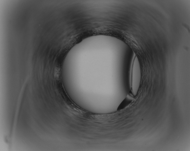 X0000091670033200709201228