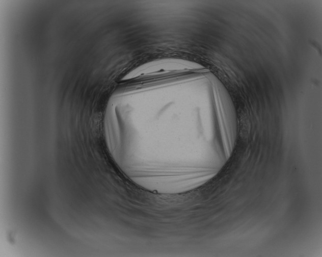 X0000091670034200709201228