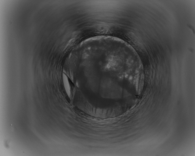 X0000091670035200709201228