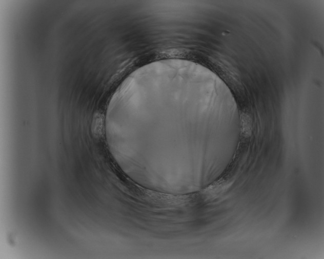 X0000091670036200709201228