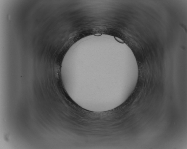 X0000091670038200709201228