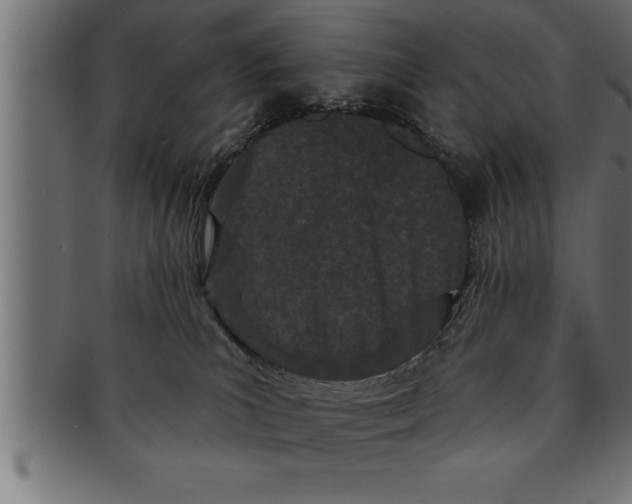 X0000091670039200709201228