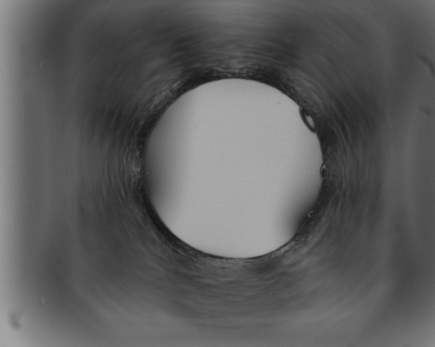 X0000091670040200709201228