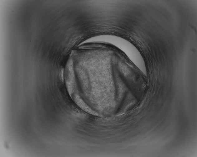 X0000091670041200709201228