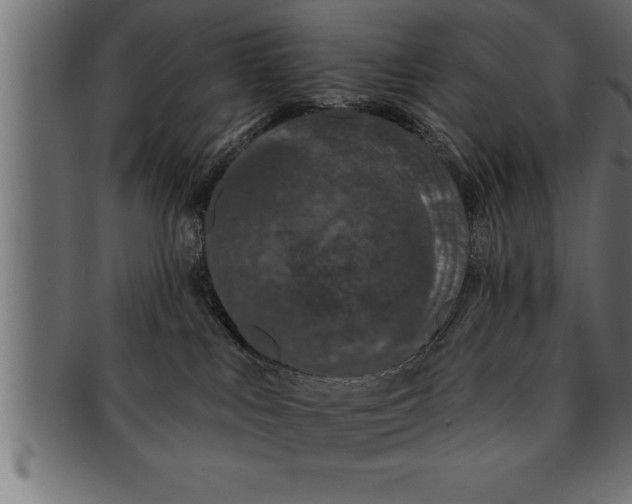 X0000091670043200709201228